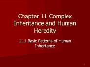 Chapter 11 Complex Inheritance and Human Heredity