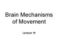 Brain Mechanisms of Movement PowerPoint PPT Presentation