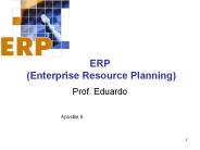 ERP (Enterprise Resource Planning)