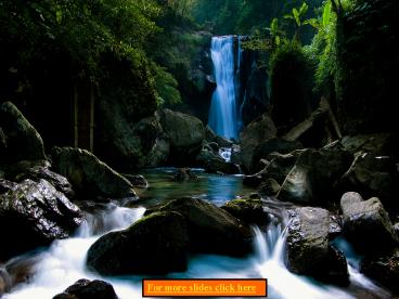 Chapter 11: The Muscular System