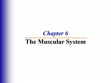Chapter 6 The Muscular System
