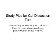 Study Pics for Cat Dissection Test