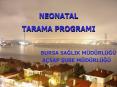 NEONATAL TARAMA PROGRAMI PowerPoint PPT Presentation
