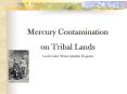 Mercury Contamination PowerPoint PPT Presentation