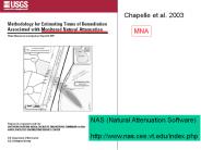 NAS (Natural Attenuation Software)