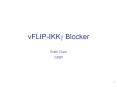 vFLIP-IKKg Blocker PowerPoint PPT Presentation