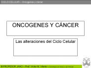 ONCOGENES Y C