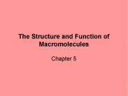 The Structure and Function of Macromolecules