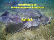 RAIAS