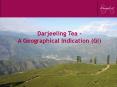 Darjeeling Tea - A Geographical Indication (GI) PowerPoint PPT Presentation