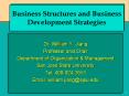 Business Structures and Business Development Strategies PowerPoint PPT Presentation