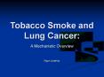 Tobacco Smoke and Lung Cancer: PowerPoint PPT Presentation