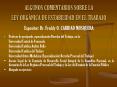 ALGUNOS COMENTARIOS SOBRE LA LEY ORG PowerPoint PPT Presentation