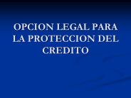 OPCION LEGAL PARA LA PROTECCION DEL CREDITO