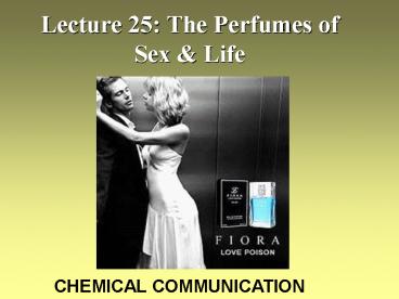 Lecture 25: The Perfumes of Sex