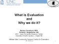 What is Evaluation and Why we do it? PowerPoint PPT Presentation