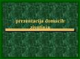 prezentacija domacih zivotinja PowerPoint PPT Presentation