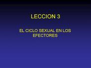 LECCION 3