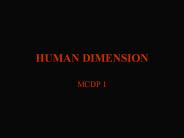 HUMAN DIMENSION