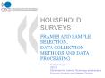 HOUSEHOLD%20SURVEYS PowerPoint PPT Presentation