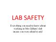 LAB SAFETY PowerPoint PPT Presentation
