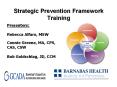 Strategic Prevention Framework Training PowerPoint PPT Presentation