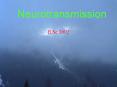 Neurotransmission PowerPoint PPT Presentation