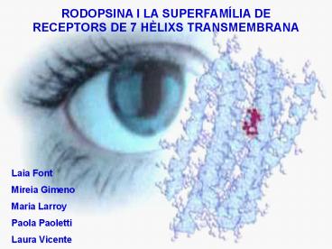 RODOPSINA I LA SUPERFAM