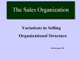The Sales Organization