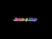 Metale si Aliaje