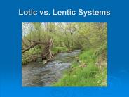 Lotic vs. Lentic Systems
