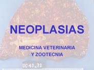 NEOPLASIAS