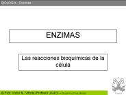 ENZIMAS