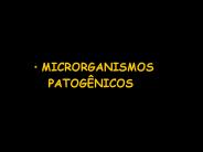 MICRORGANISMOS
