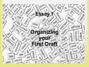 Essay 1