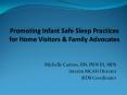 Promoting Infant Safe Sleep Practices for Home Visitors PowerPoint PPT Presentation