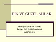DIN VE G