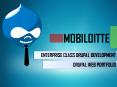 Stunning Website Design and Development by Drupal CMS PowerPoint PPT Presentation