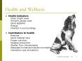Health and Wellness PowerPoint PPT Presentation