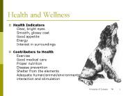 Health and Wellness