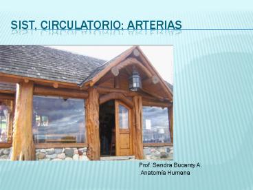 Sist. Circulatorio: Arterias