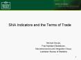SNA Indicators and the Terms of Trade PowerPoint PPT Presentation