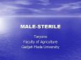 MALE-STERILE PowerPoint PPT Presentation