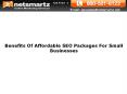 Benefits Of Affordable SEO Packages For Small Businesses PowerPoint PPT Presentation