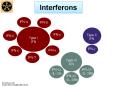 Interferons PowerPoint PPT Presentation