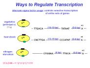 Alternate sigma factor usage: controls selective transcription