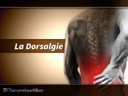 Comprendre vos maux de dos / dorsalgie