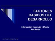 FACTORES BASICOS DEL DESARROLLO