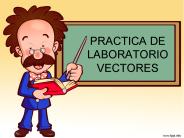 PRACTICA DE LABORATORIO VECTORES