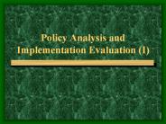 Policy Analysis and Implementation Evaluation (I)
